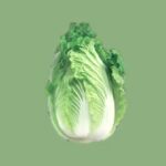 Fresh Badhakopi (Cabbage) – 1 piece (400 g – 600 g)