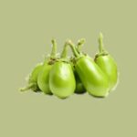Fresh Begun (Eggplant) 600g pack with vibrant purple skin